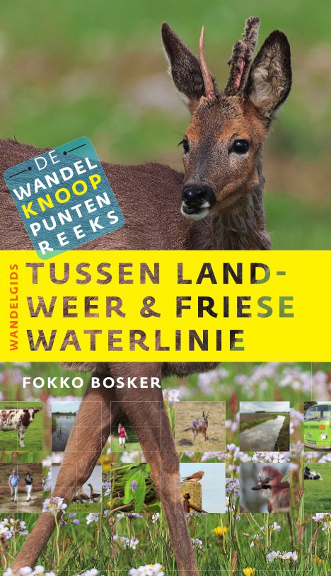 Tussen Landweer en Friese Waterlinie (Noordboek)